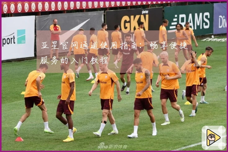亚星官网通道使用指南：畅享便捷服务的入门教程